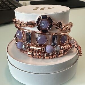 Chic Rose Gold and Purple Bracelet Set